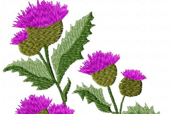 Wildflowers: A Designer’s Review for Handmade Gifts